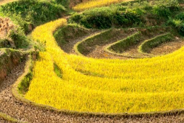 平安保險(xiǎn)退保需要什么證件？要扣多少錢？