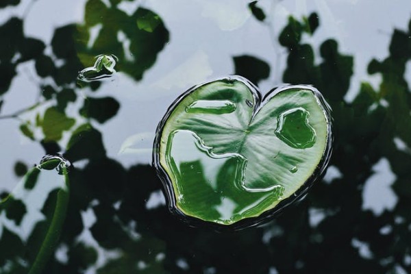 交了兩年的保險(xiǎn),現(xiàn)在想退,能退多錢