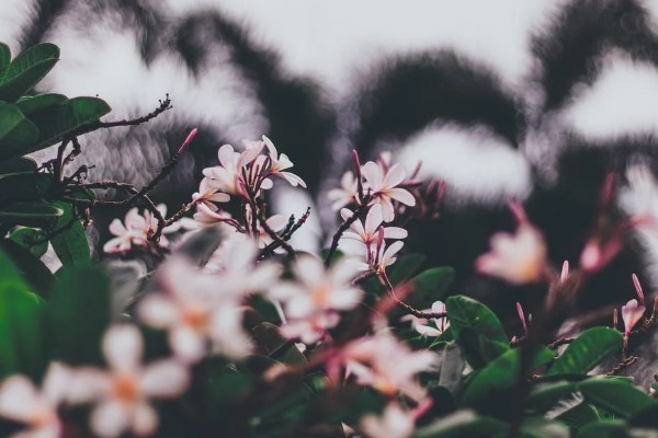 退保險(xiǎn)能退百分之多少