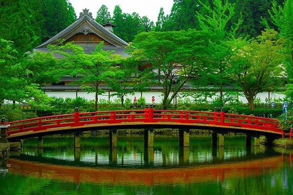 交了八年保險退保怎樣可以退全款？怎么退？