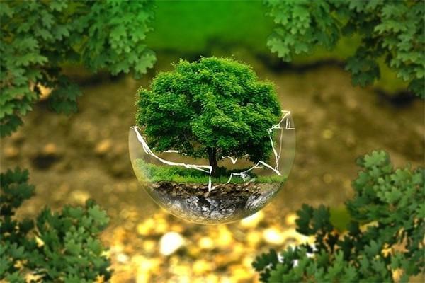 沒簽合同保險退保怎樣可以退全款？退保怎么退？