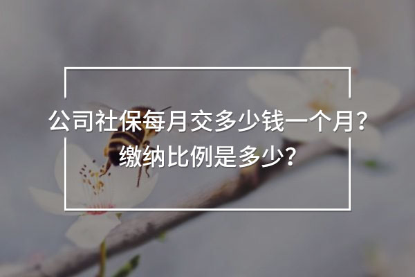 公司社保每月交多少錢一個(gè)月