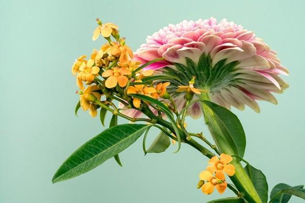 光大永明嘉多保重大疾病保險(xiǎn)條款有哪些？值得投保嗎？