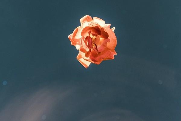 猶豫期保險(xiǎn)退保怎樣可以退全款