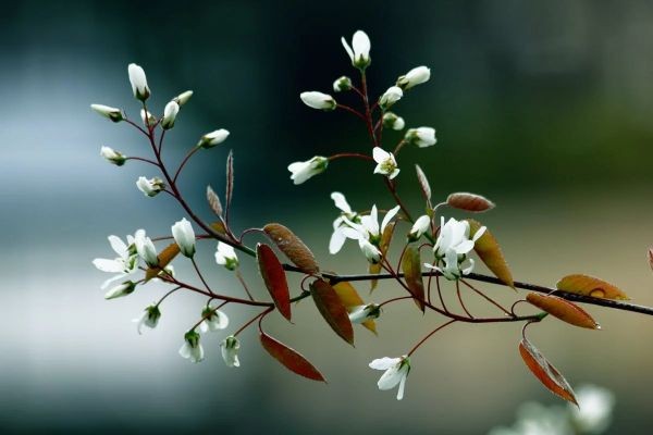 平安萬(wàn)能險(xiǎn)6000交二十年
