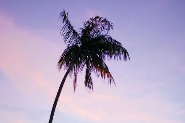 20年期保險(xiǎn)中途不交費(fèi)可以退嗎？需要多長時(shí)間？