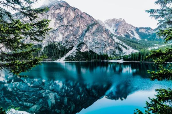 不想投保了,保費(fèi)可以全額退嗎？流程有哪些？