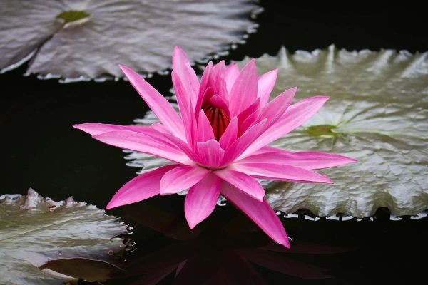 孕婦保險(xiǎn)