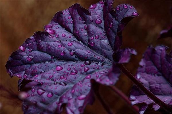 保險(xiǎn)退多久可以再次購買嗎？退保怎么才能全額退保？
