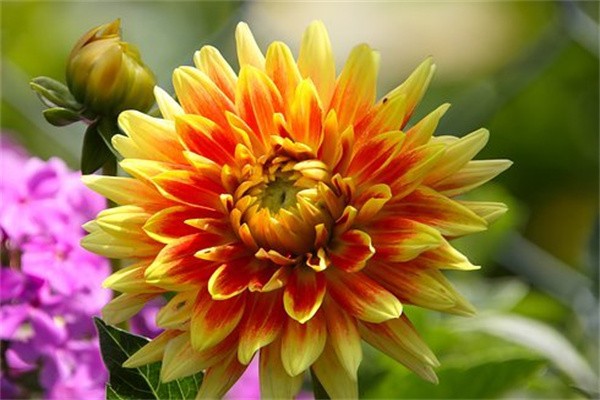 鴻運(yùn)年年兩全保險分紅型