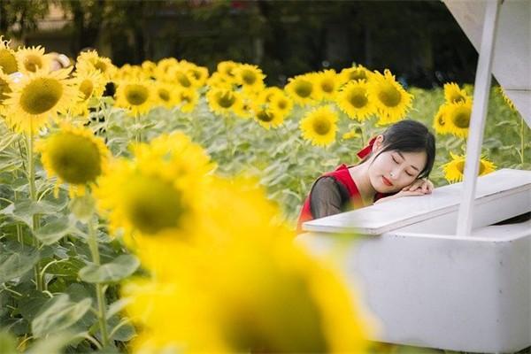 社保剛交一個(gè)月發(fā)現(xiàn)懷孕了還有必要繼續(xù)交