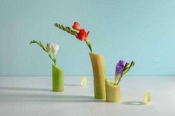 保險(xiǎn)審核未通過(guò)可以直接退保嗎