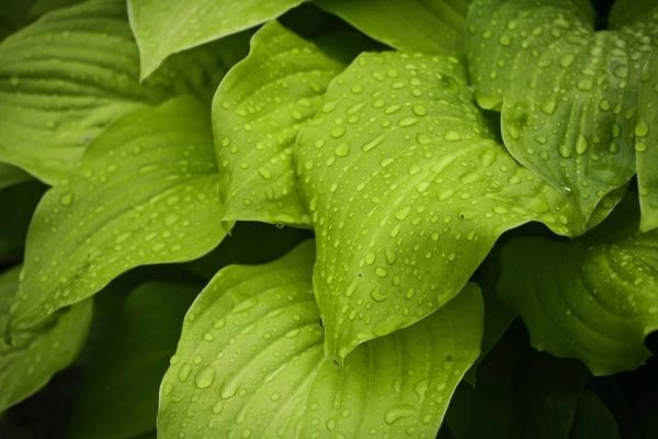 社保網(wǎng)上補(bǔ)繳