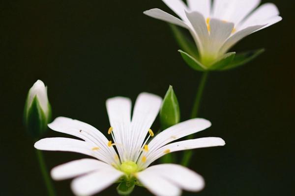 交了一年退保險能退回多少錢