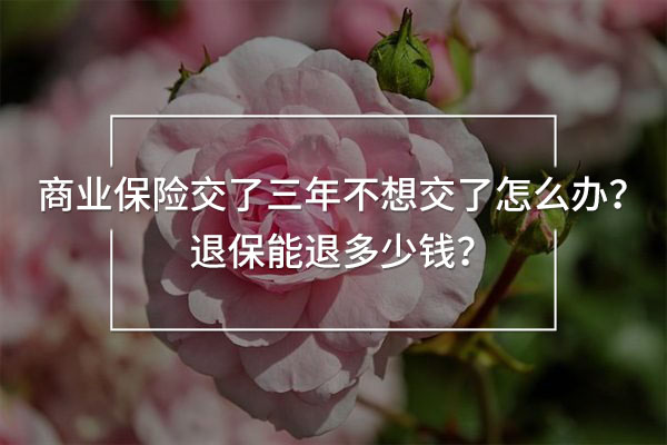 商業(yè)保險(xiǎn)交了三年不想交了怎么辦