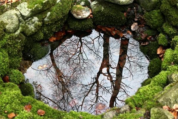 自己怎么在網(wǎng)上交社保