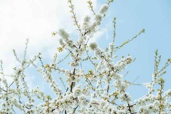 保險(xiǎn)到期后不想續(xù)交可以退嗎