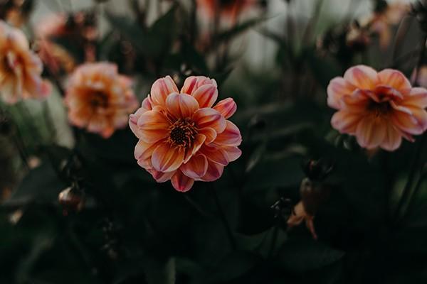 給孩子買教育金保險(xiǎn)有必要嗎