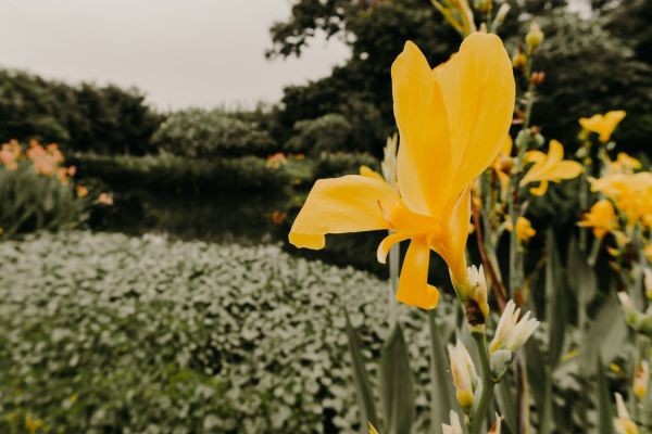 友誠保險(xiǎn)重疾險(xiǎn)