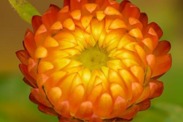 一年交10000交滿15年拿多少錢