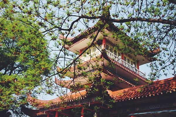 青島社保補(bǔ)繳最新政策