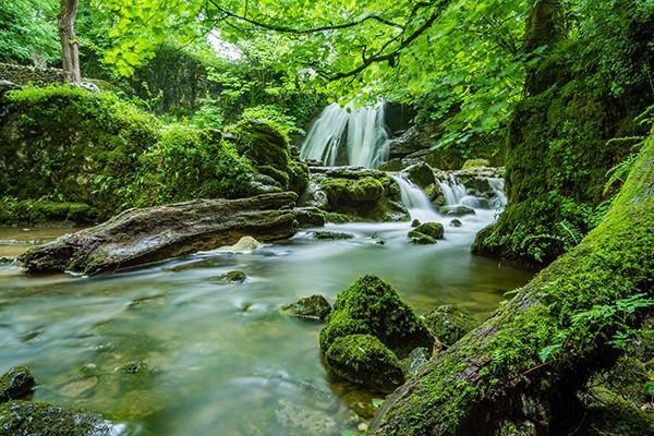青島社保補(bǔ)繳流程