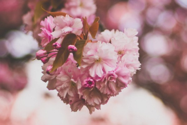 百萬(wàn)醫(yī)療交費(fèi)按年齡怎么交？一年需要繳納多少保費(fèi)？