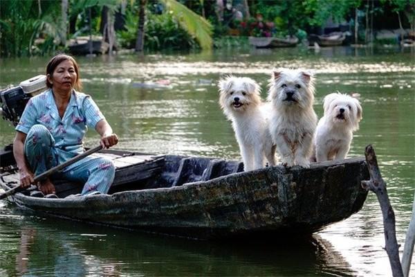 短期旅游意外險