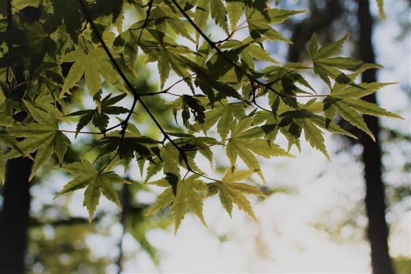 兒童保險退保需要哪些手續(xù)