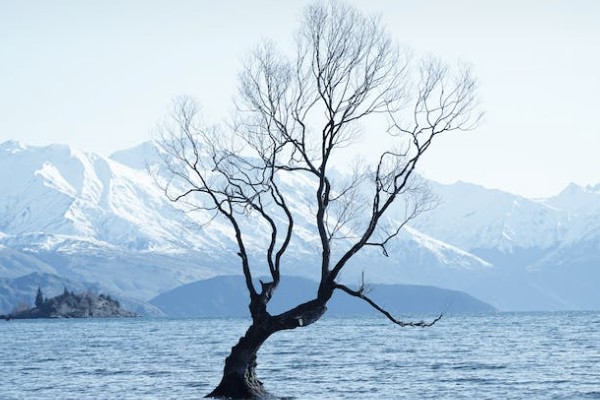 怎么退出人保百萬(wàn)醫(yī)療保險(xiǎn)