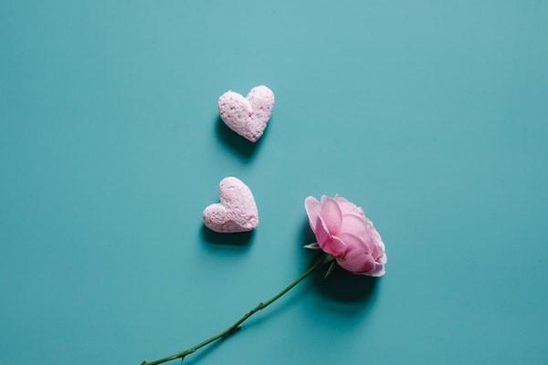 中國人壽保險網(wǎng)上退保