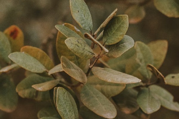 3萬理財(cái)險(xiǎn)退保會虧多少錢
