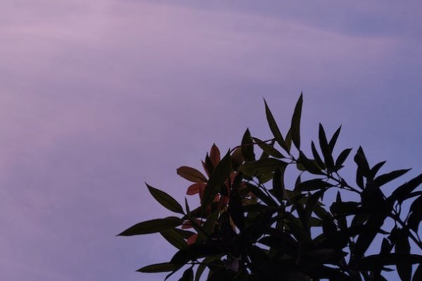 60歲的人退保險(xiǎn)怎樣退