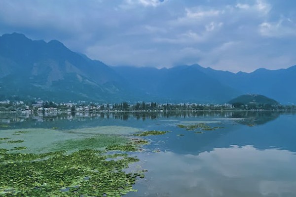  保險(xiǎn)到期退保收益還有嗎