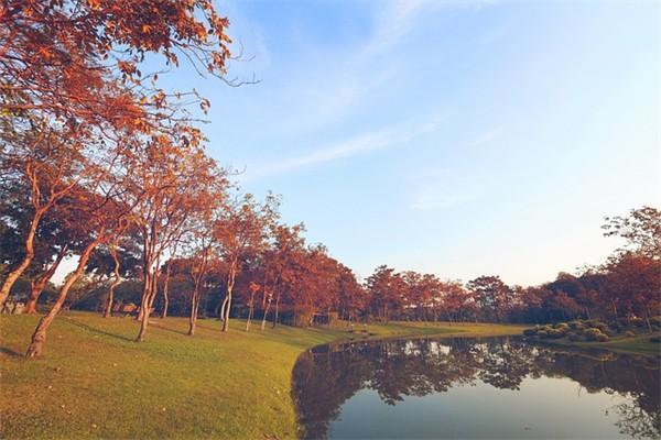 城鎮(zhèn)企業(yè)職工養(yǎng)老保險