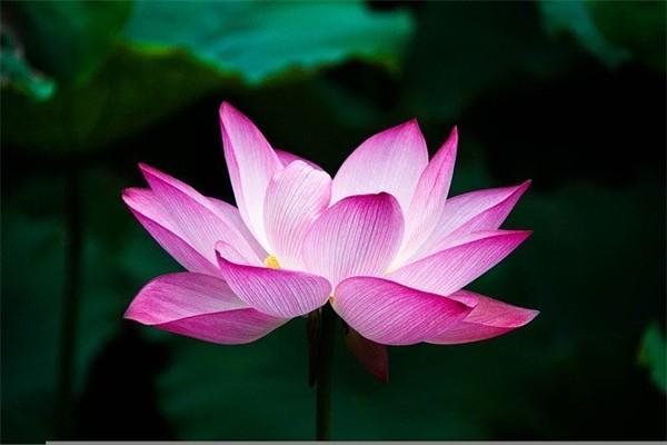 城鄉(xiāng)居民社會養(yǎng)老保險制度