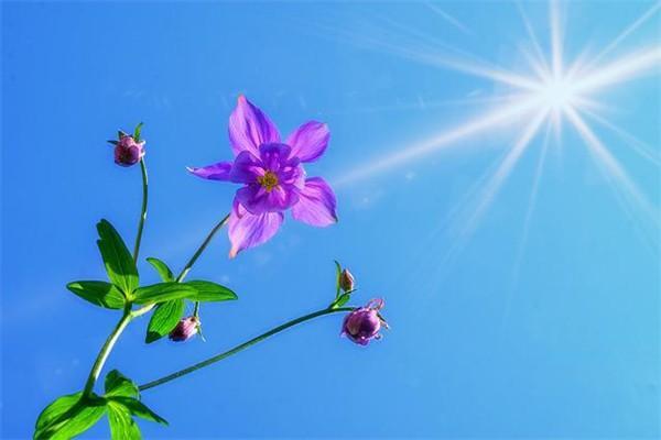 30歲交養(yǎng)老保險