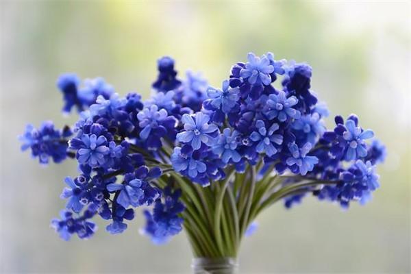商業(yè)保險退保手續(xù)費合理嗎？能退回多少錢？