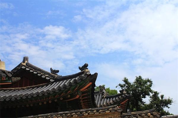 重疾險(xiǎn)選哪個(gè)保險(xiǎn)公司