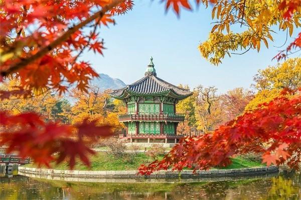 保險(xiǎn)不想交了怎么退保？退保能退回多少錢？
