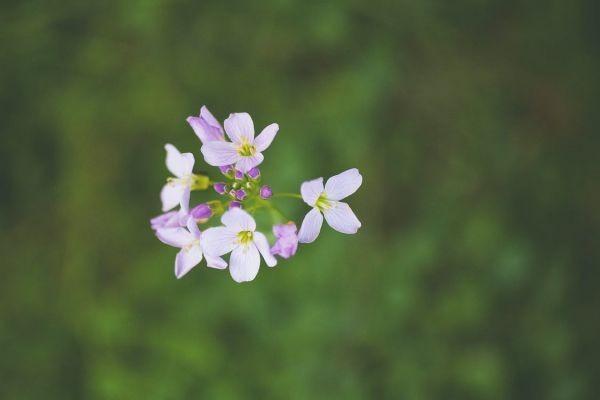 重疾險與百萬醫(yī)療險的區(qū)別