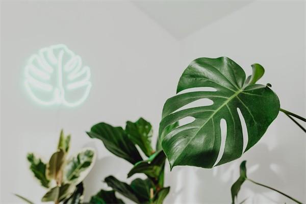 個(gè)人繳納養(yǎng)老保險(xiǎn)費(fèi)