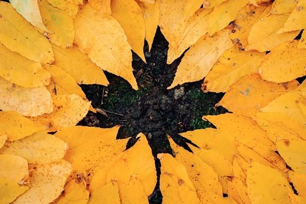 泰康壽險退保最佳方法是什么？要怎么退？