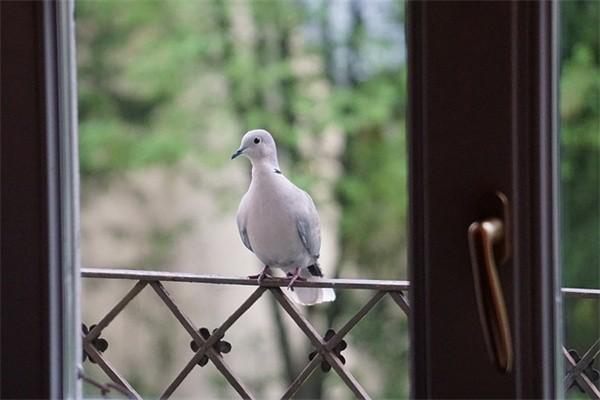 平安百萬醫(yī)療保險無免賠額