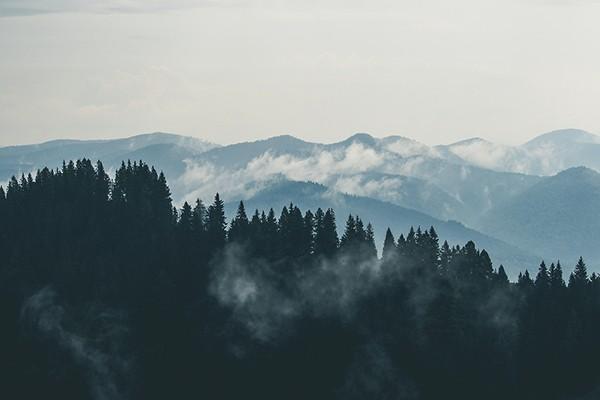 全額退保合法的方法是什么？流程有哪些？