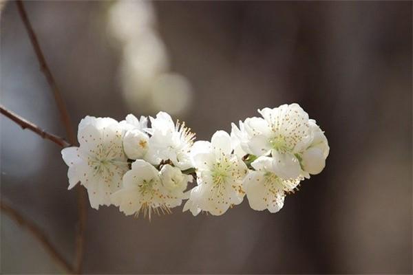 重疾險(xiǎn)保險(xiǎn)公司對(duì)比