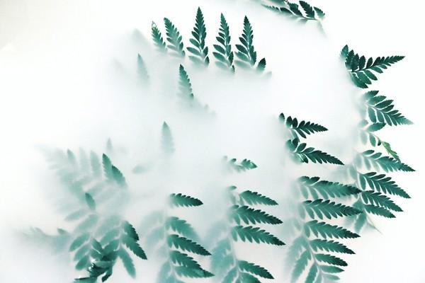城鎮(zhèn)職工養(yǎng)老保險(xiǎn)