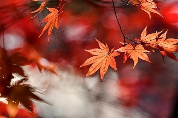 水滴保險退保的方法是什么？退保能退嗎？