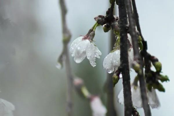 眾安百萬(wàn)醫(yī)療保險(xiǎn)人工電話
