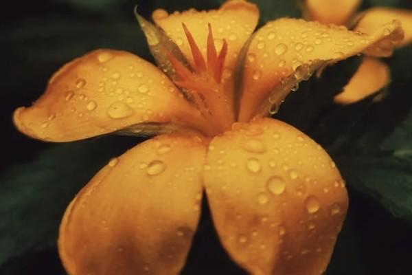 全額退保最簡(jiǎn)單的方法是啥？要注意哪些問題？